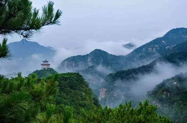 济南这些不得不去的旅游景点，你去过几处？