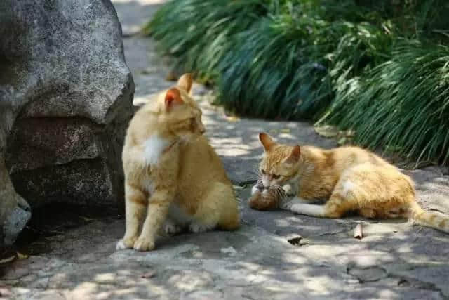 分享｜城市印象、醉美东兴