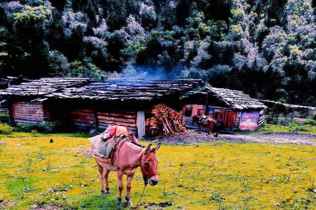 「旅行攻略」你的心情，决定了你的旅行目的地，看看你适合去哪？