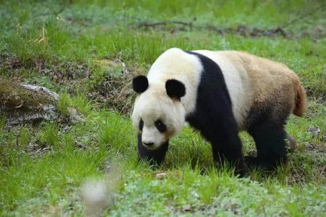 端午假期来汉中这处人间仙境体验22℃的夏天吧！