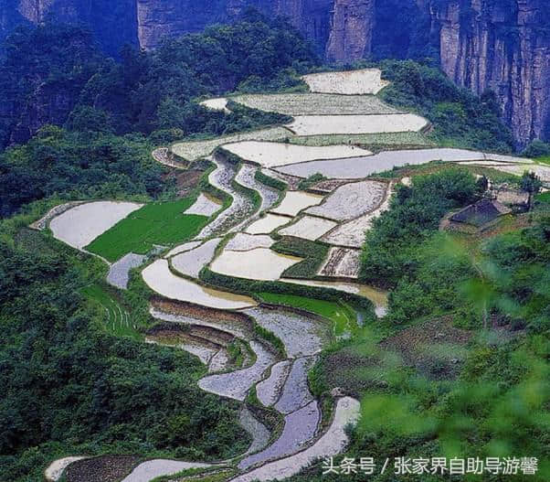 张家界最全景点介绍，经典旅游线路推荐！