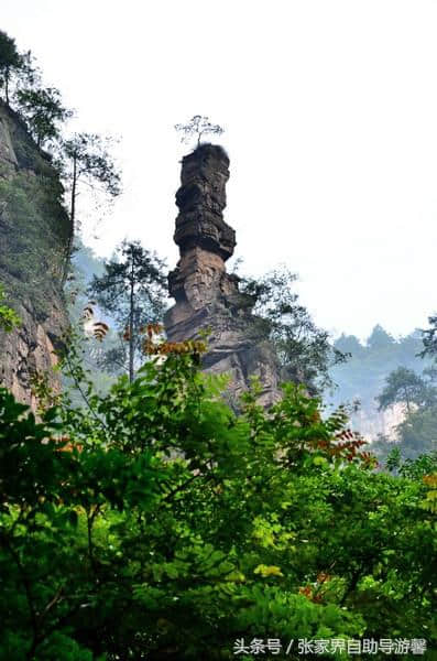 张家界最全景点介绍，经典旅游线路推荐！