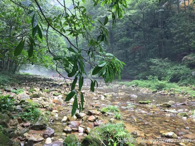 去张家界旅游攻略和一路大概需要多少花费？