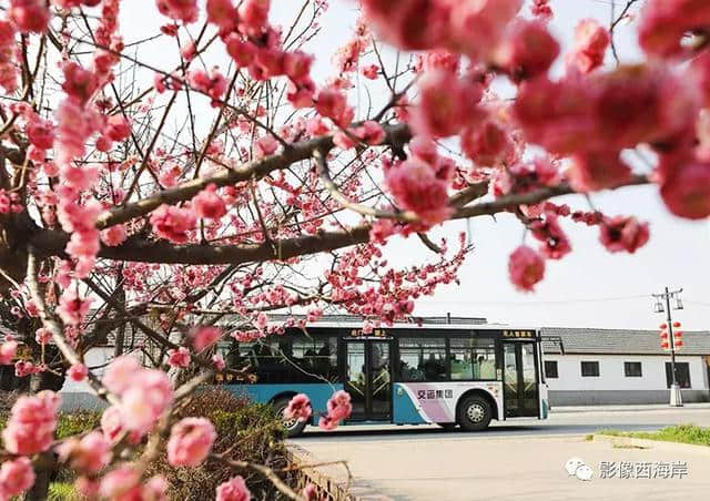 福利 | 免费送你一份大村西南庄端午节旅游攻略