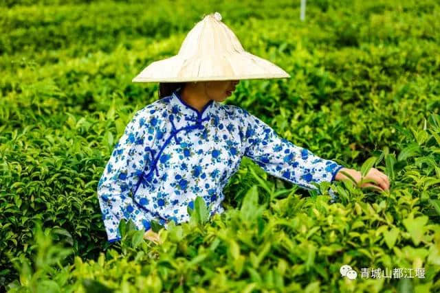 坐着公交去旅行，一站一景，这份都江堰旅游攻略请收好！