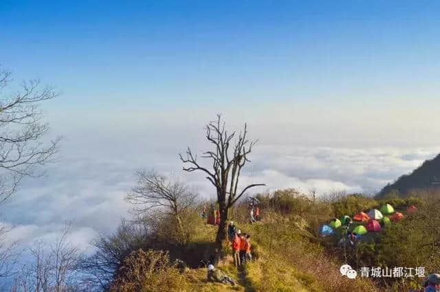 坐着公交去旅行，一站一景，这份都江堰旅游攻略请收好！