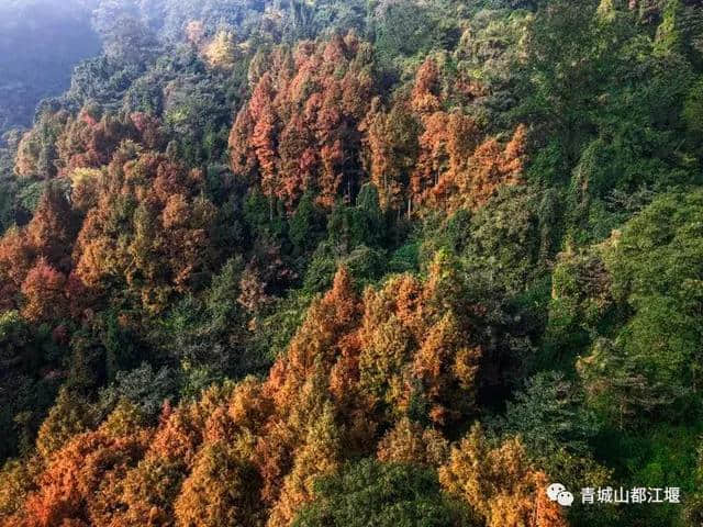 坐着公交去旅行，一站一景，这份都江堰旅游攻略请收好！