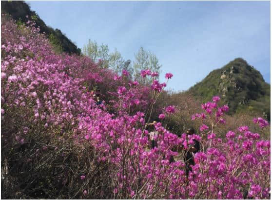 十一乡村旅游能不能拒绝收费景点？密云北部乡村人少景美待开发