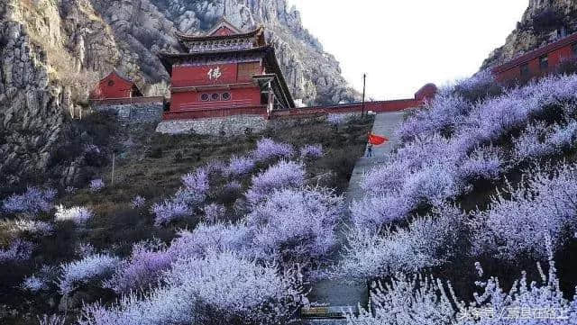 张家口，哪些美丽的风景