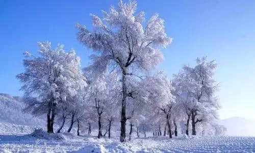 中国12 个最适合冬季旅游目的地，你想去哪个？