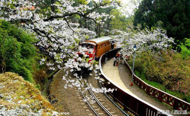 台湾有哪些旅游景点呢？你们知道几个？