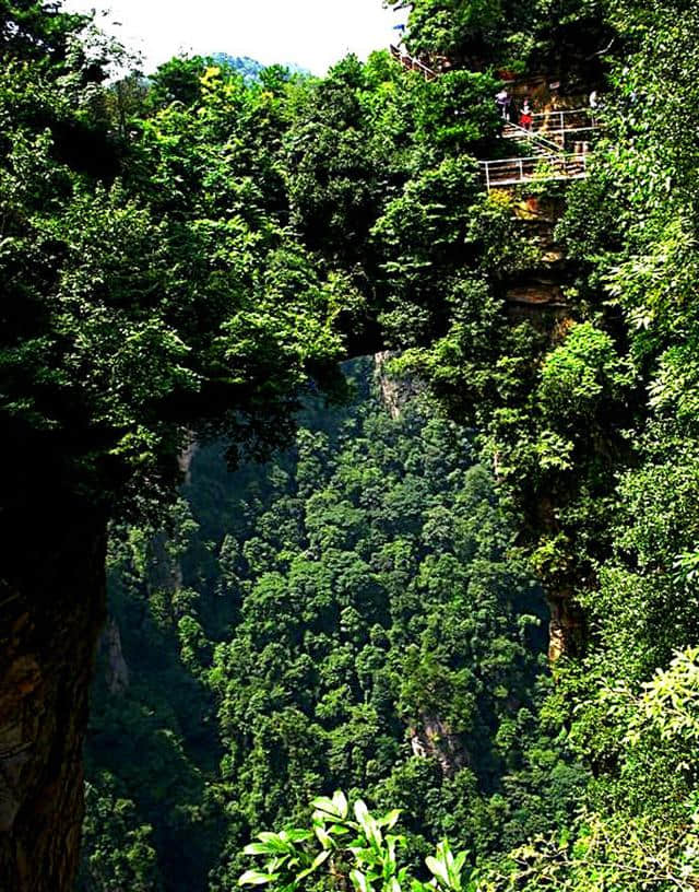 张家界旅游简介——有哪些值得去的