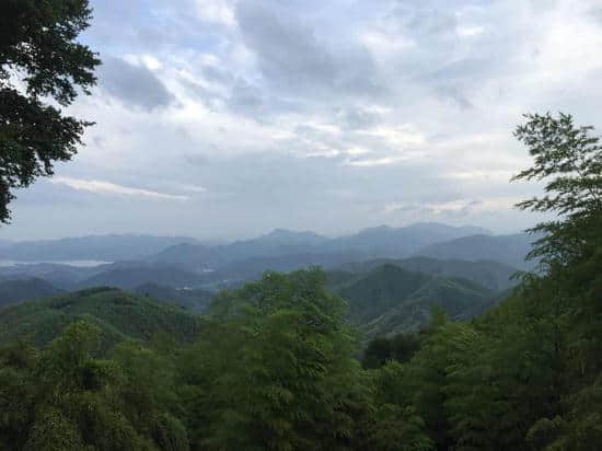 “全域旅游看中国·绿水青山浙江行”走进莫干山