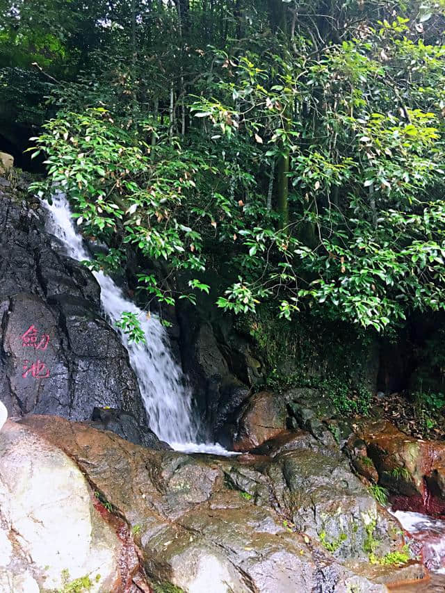 炎炎夏日，一家五口自驾游：莫干山（附详细攻略）