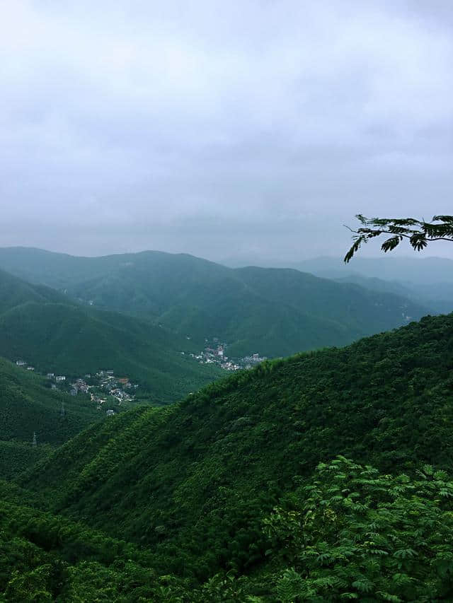 炎炎夏日，一家五口自驾游：莫干山（附详细攻略）