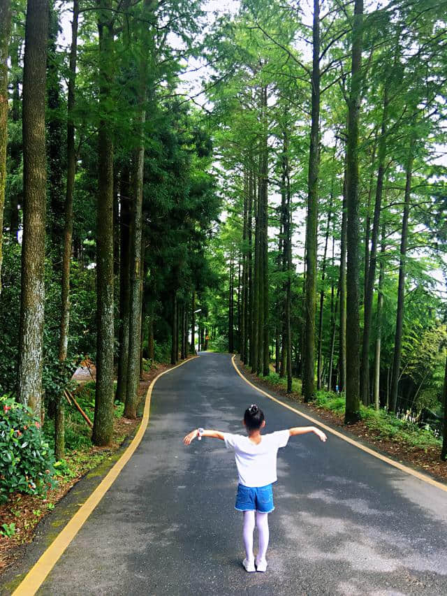 炎炎夏日，一家五口自驾游：莫干山（附详细攻略）