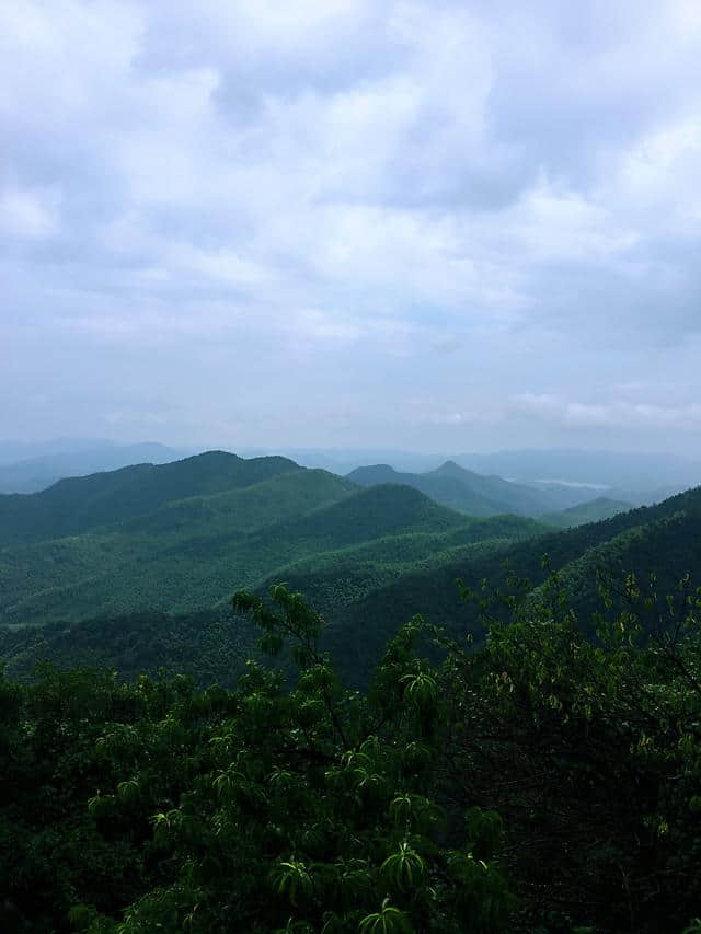 炎炎夏日，一家五口自驾游：莫干山（附详细攻略）