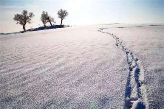 你见过雪后的塔克拉玛干沙漠吗？