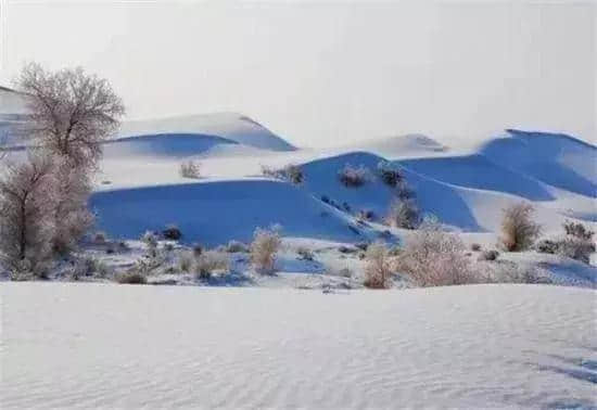 你见过雪后的塔克拉玛干沙漠吗？