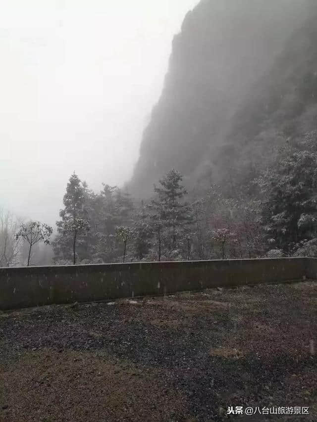 2018年11月7日｜八台山今日雪景实拍，白雪皑皑美得心醉！