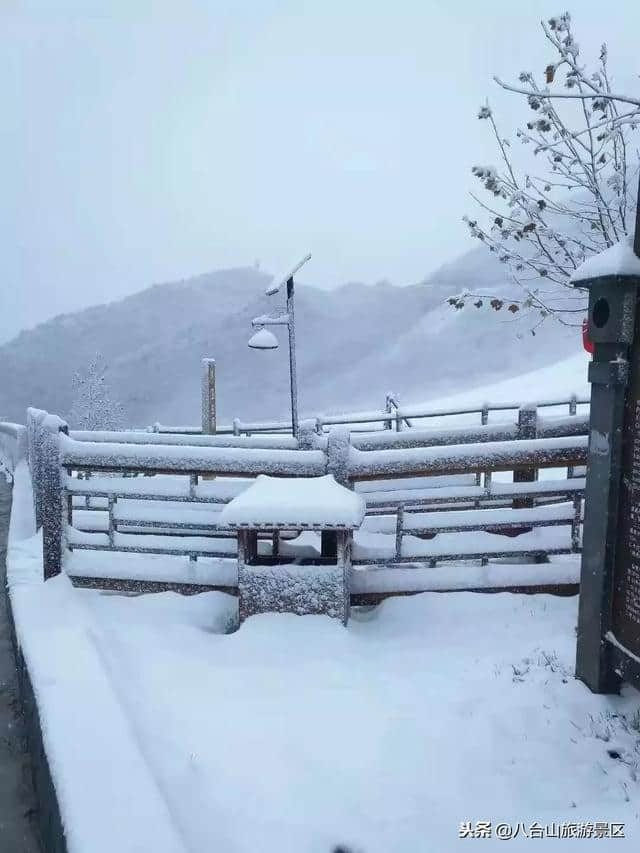 2018年11月7日｜八台山今日雪景实拍，白雪皑皑美得心醉！