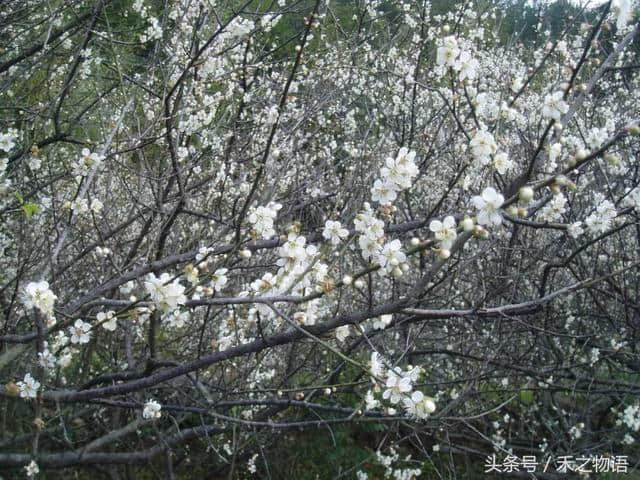 夏日全民旅行记：福州后花园永泰坂埕—小“云水谣”之称