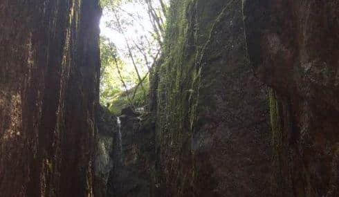 随地游：惠州南昆山旅游攻略！