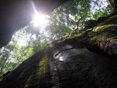 随地游：惠州南昆山旅游攻略！