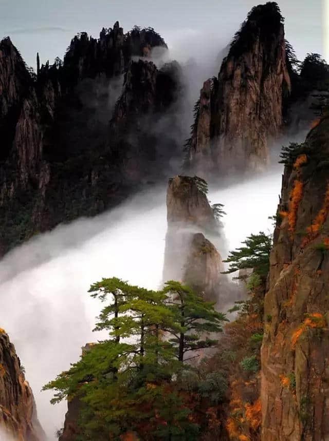 最全的黄山美景！美醉了！