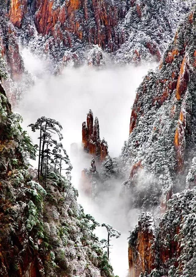 最全的黄山美景！美醉了！