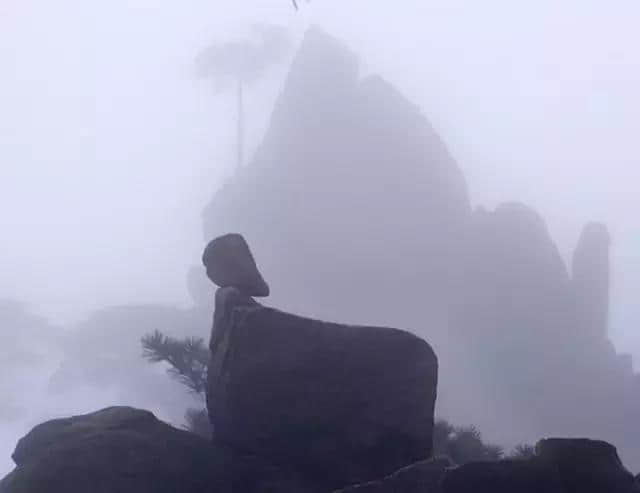 最全的黄山美景！美醉了！