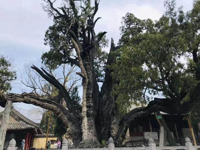 「九州风物志」登封25个旅游景区，21个都是国宝级！你去过几个？