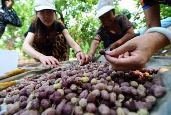 定了！端午放假3天！在德州乘高铁一天搞定8大菜系|附送德州所有旅游景点