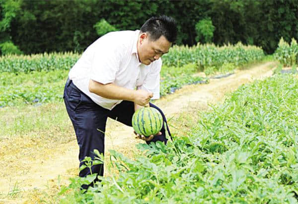 增城乡村旅游又有好去处