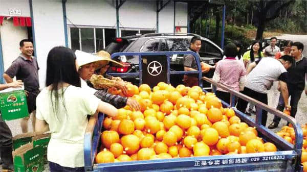 增城乡村旅游又有好去处