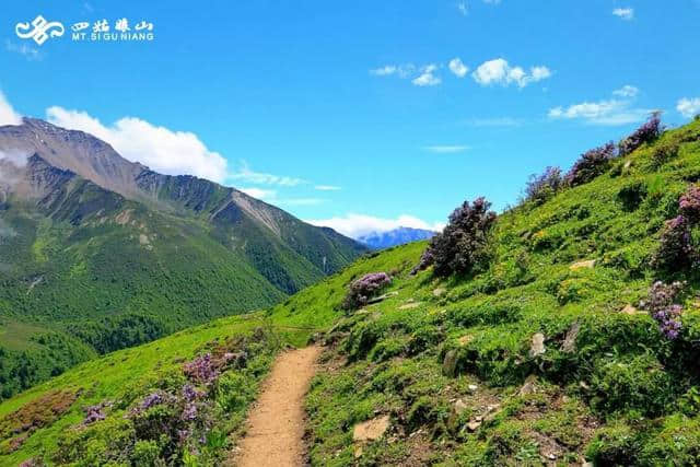 「徒步四姑娘山」一场漫步天堂的旅行