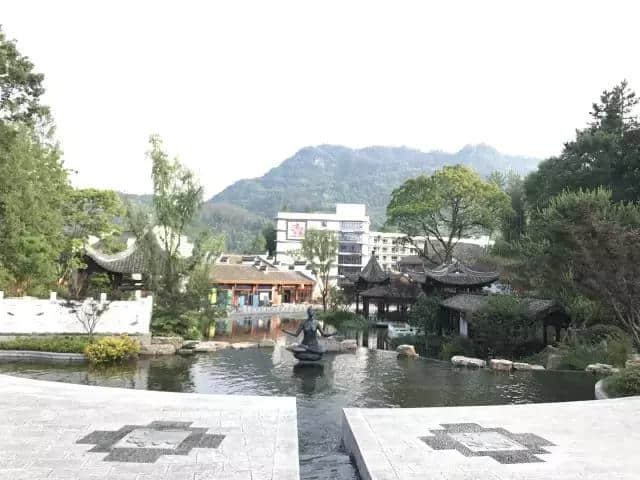 黄山对白岳，徽韵伴茶香——深圳机场国旅品茶赏景旅行团成功首发