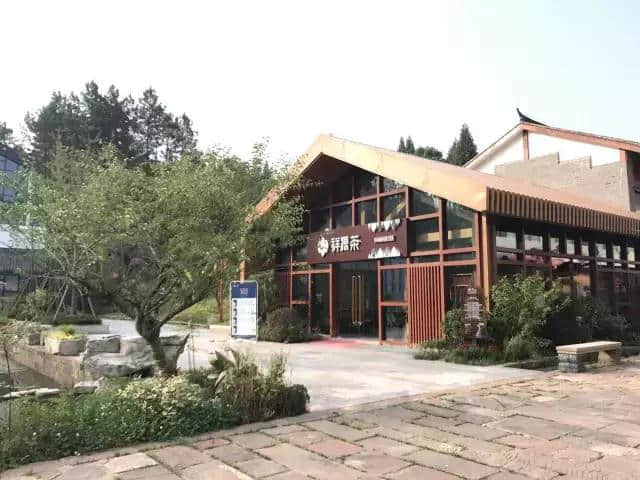 黄山对白岳，徽韵伴茶香——深圳机场国旅品茶赏景旅行团成功首发