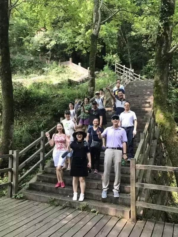 黄山对白岳，徽韵伴茶香——深圳机场国旅品茶赏景旅行团成功首发