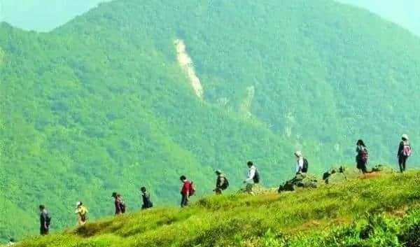 阳春三月，春暖花开，莫干踏青正当时