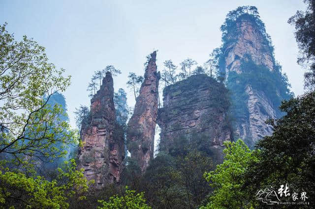 张家界最著名的景区介绍，张家界八大经典景色