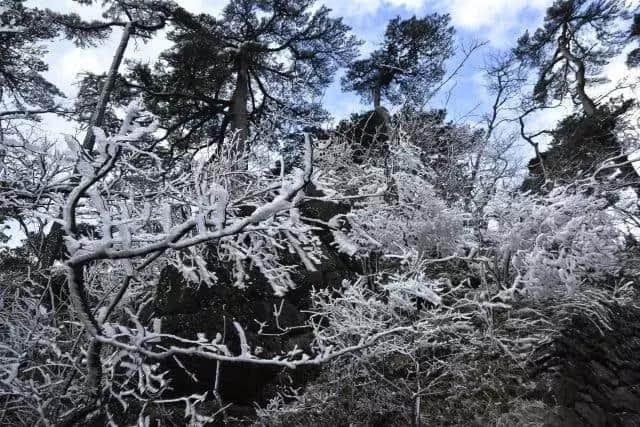 雾凇下的黄山，童话照进现实