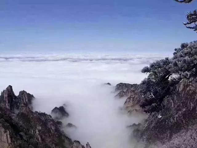 雾凇下的黄山，童话照进现实