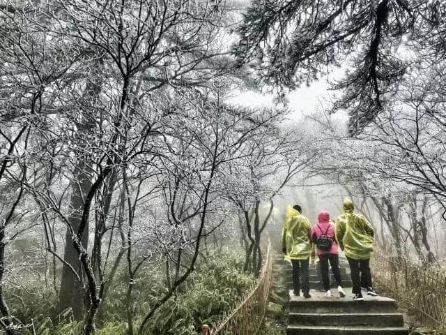 雾凇下的黄山，童话照进现实