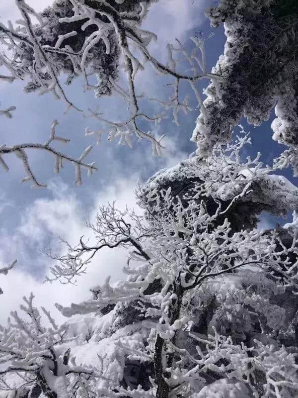 雾凇下的黄山，童话照进现实