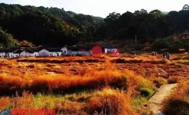 东莞附近最适合周末短途旅游的地方，说走就走！大部分免费！