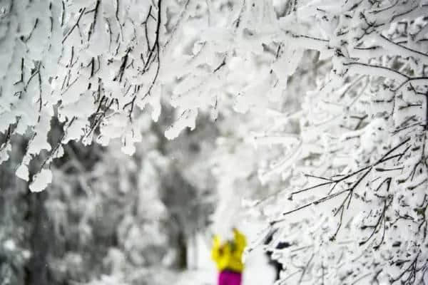 春节是去南方的海岛，还是北方的雪国，还是...反正我选莫干山！