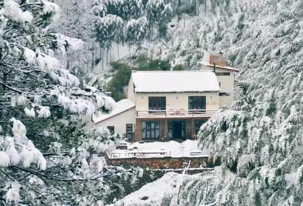 春节是去南方的海岛，还是北方的雪国，还是...反正我选莫干山！