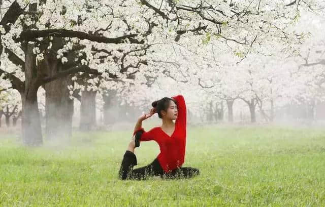 人间三月芳菲•黄河边踏青赏花——黄沁文化旅游节等你来“撩”