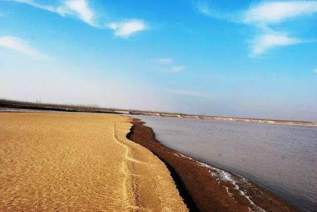 人间三月芳菲•黄河边踏青赏花——黄沁文化旅游节等你来“撩”